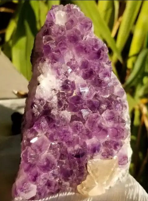 Kristalheldere Wijsheid: Alles wat je moet weten over Amethist