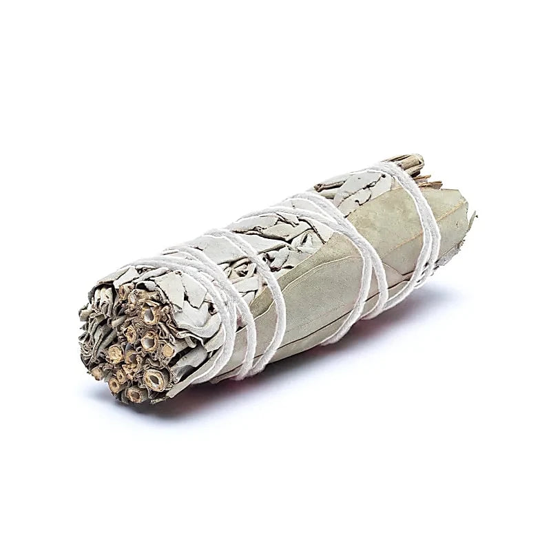 Witte salie smudge met eucalyptus | 2 stuks | ca 10cm