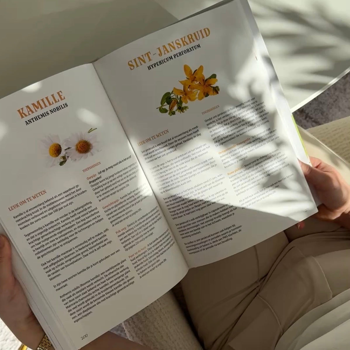 Aroma-Power handboek