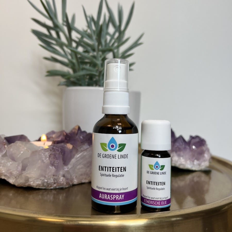 Entiteiten | Spirituele Regulatie