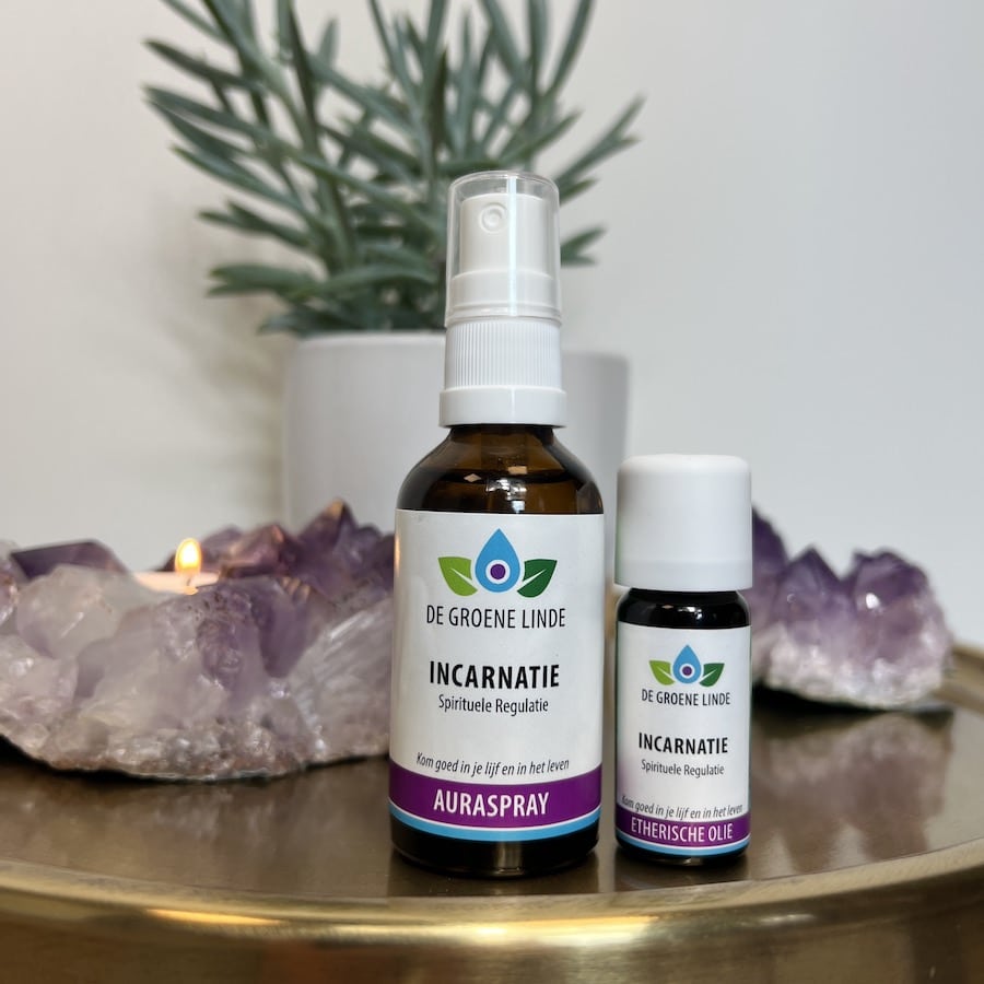 Incarnatie | Spirituele Regulatie
