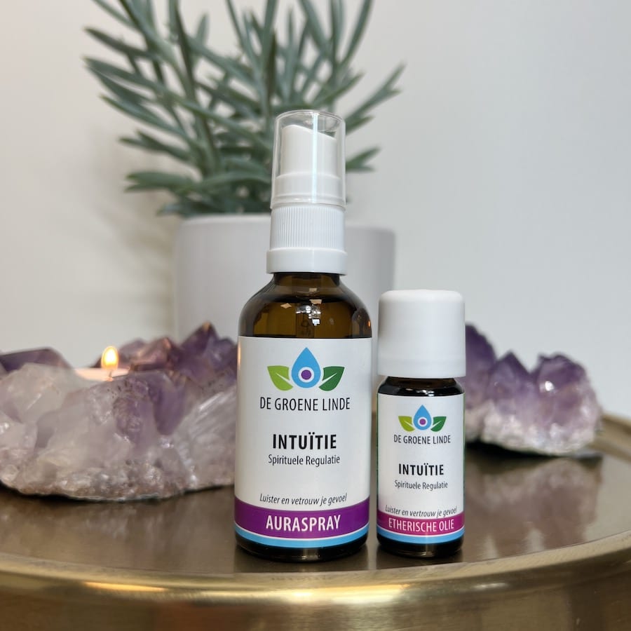Intuïtie | Spirituele Regulatie