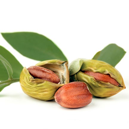Jojoba-olie | KP