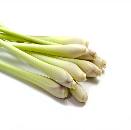 Lemongrass olie