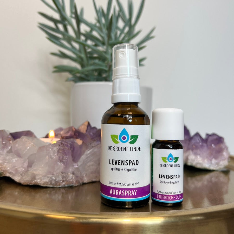 Levenspad | Spirituele Regulatie