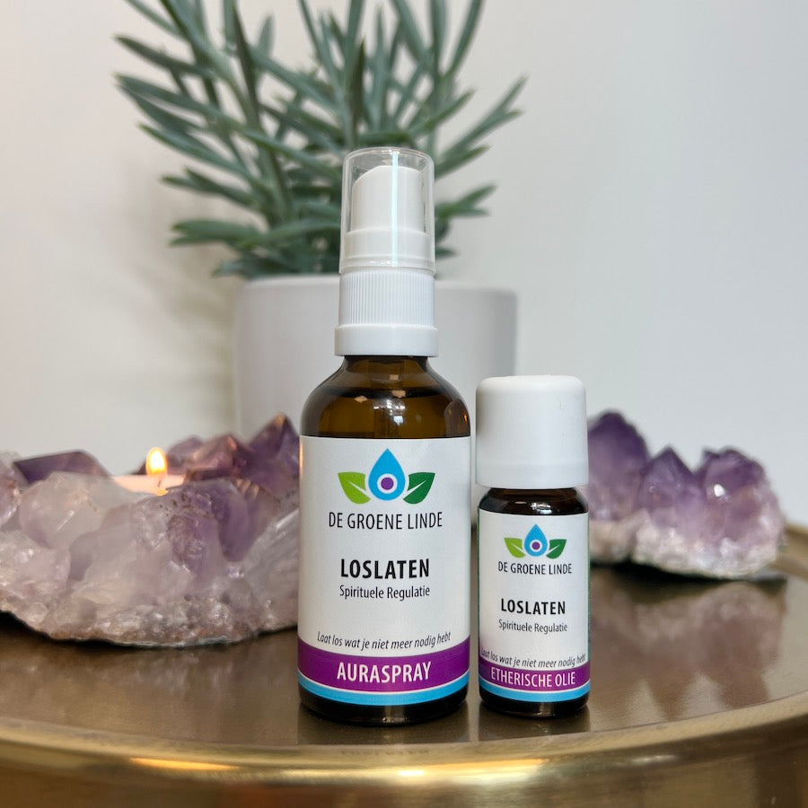 Loslaten | Spirituele Regulatie