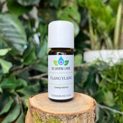 Ylang Ylang olie