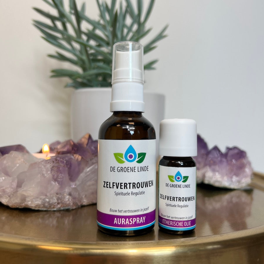 Zelfvertrouwen | Spirituele Regulatie