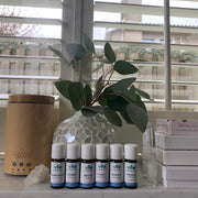 Bamboo Diffuser + Etherische olie Startset